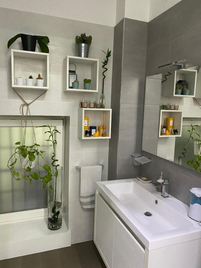 Raroom Boutique 托雷德尔格雷科 外观 照片
